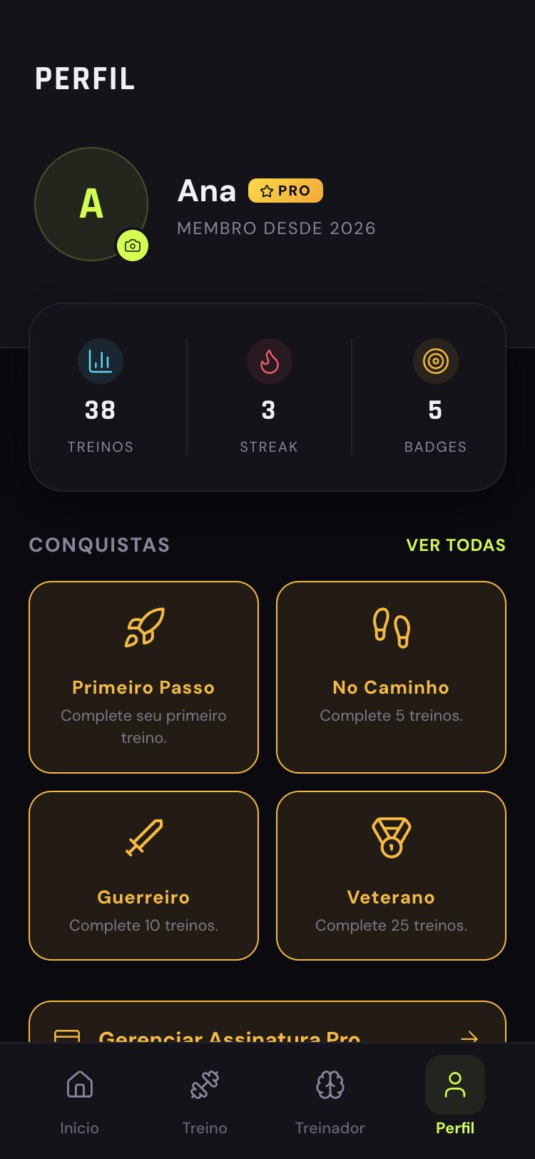 Profile with achievements and Pro subscription